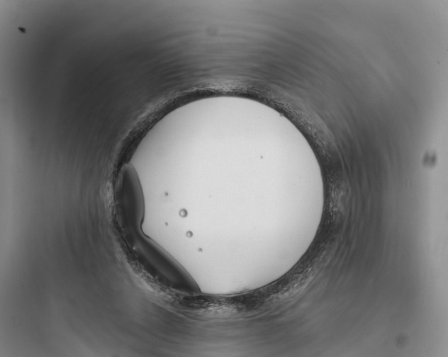 X0000097590256200803211643