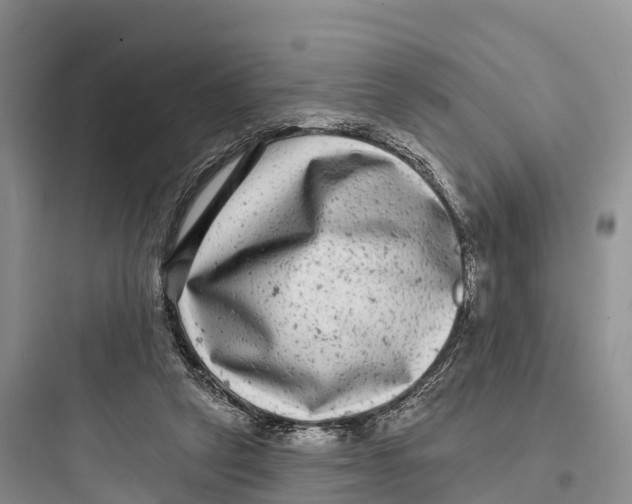 X0000097590257200803211643