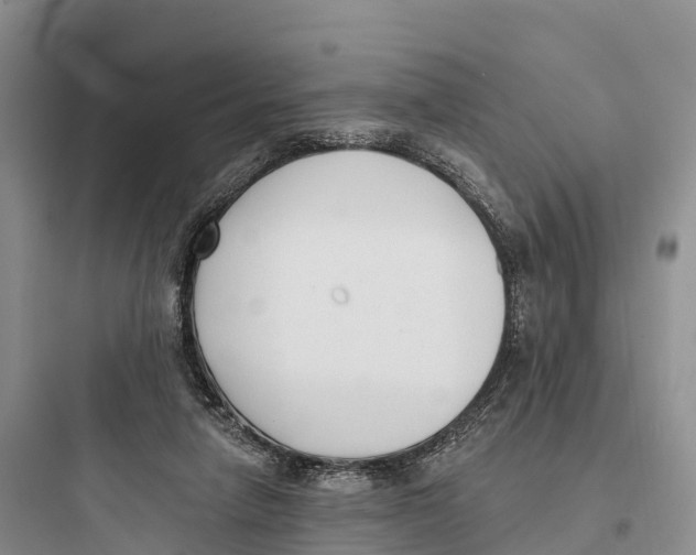 X0000097590258200803211643