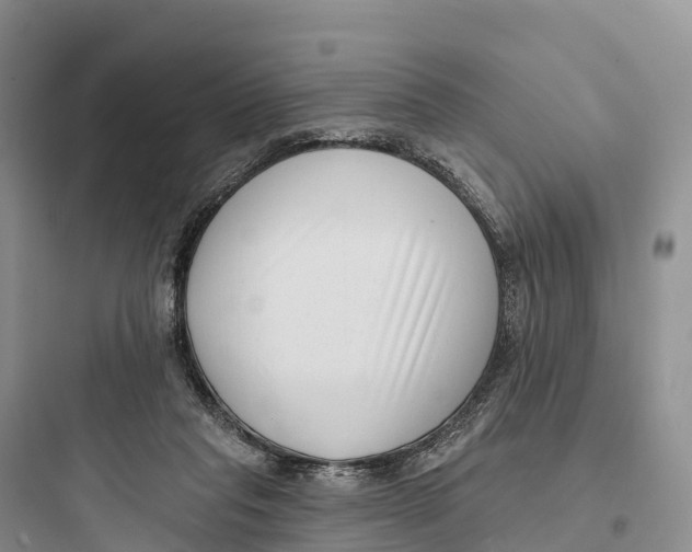 X0000097590261200803211643