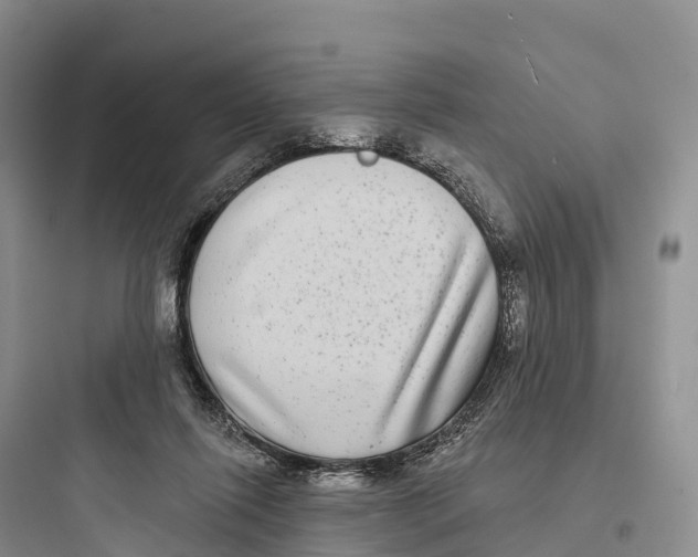 X0000097590262200803211643