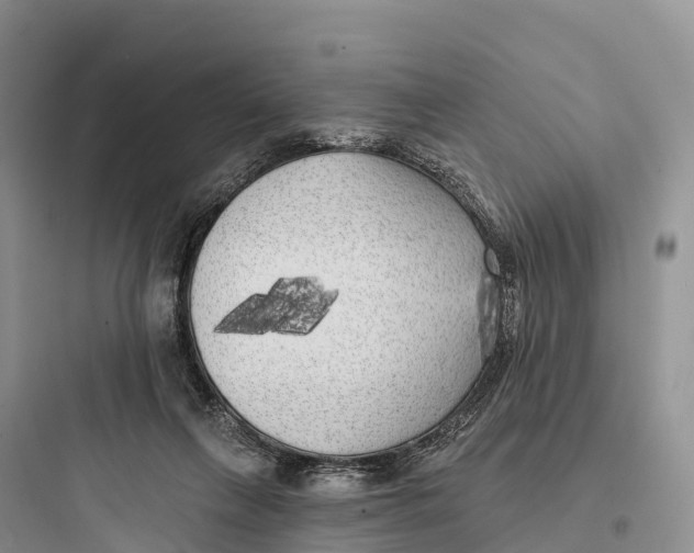 X0000097590263200803211643