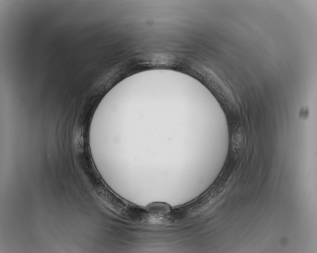 X0000097590264200803211643