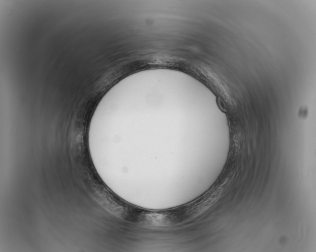 X0000097590265200803211643