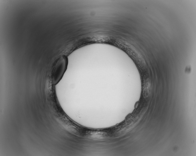 X0000097590268200803211643