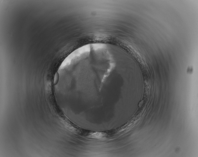 X0000097590269200803211643