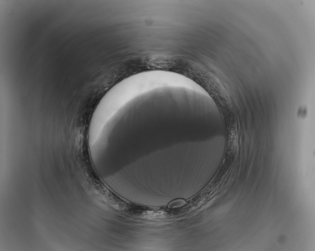 X0000097590271200803211643