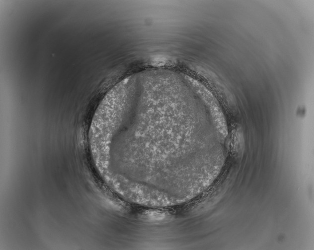 X0000097590272200803211643