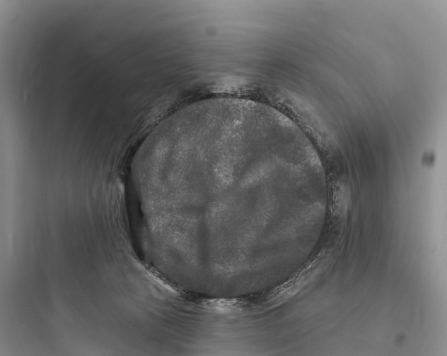 X0000097590273200803211643