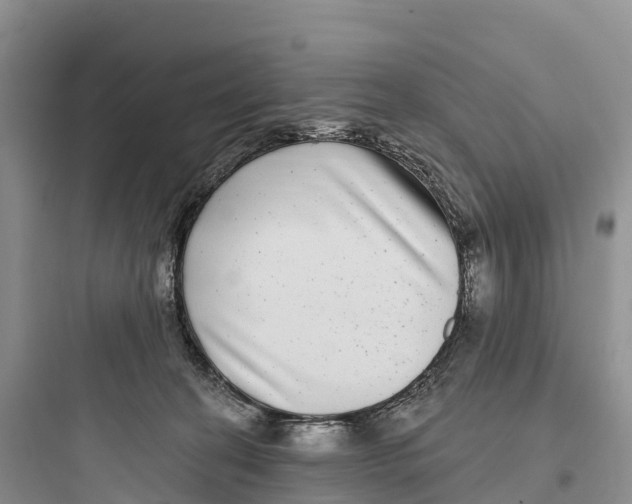 X0000097590274200803211643