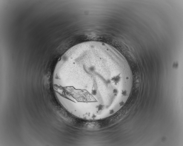 X0000097590275200803211643