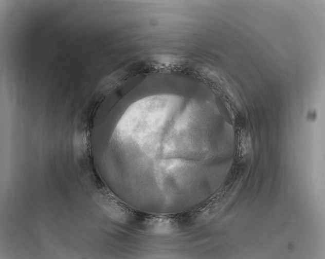 X0000097590276200803211643