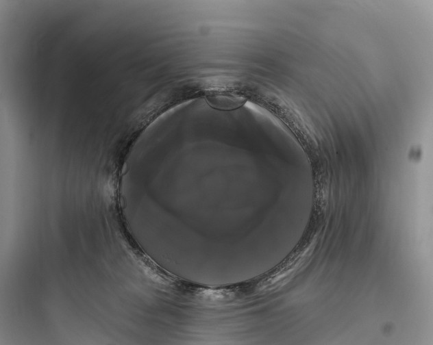 X0000097590277200803211643