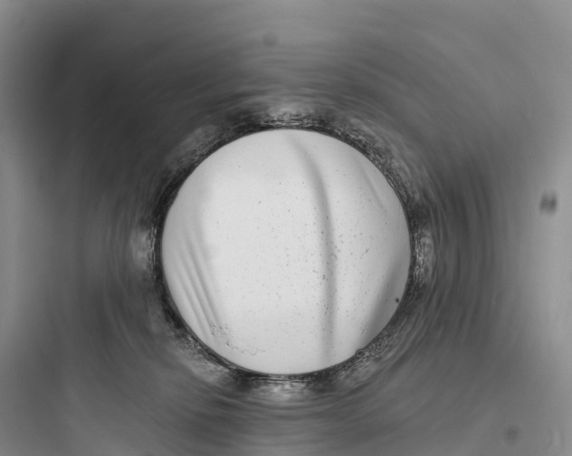 X0000097590278200803211643