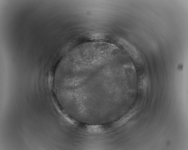 X0000097590281200803211643