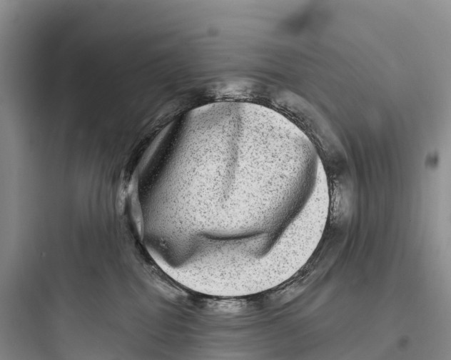 X0000097590282200803211643