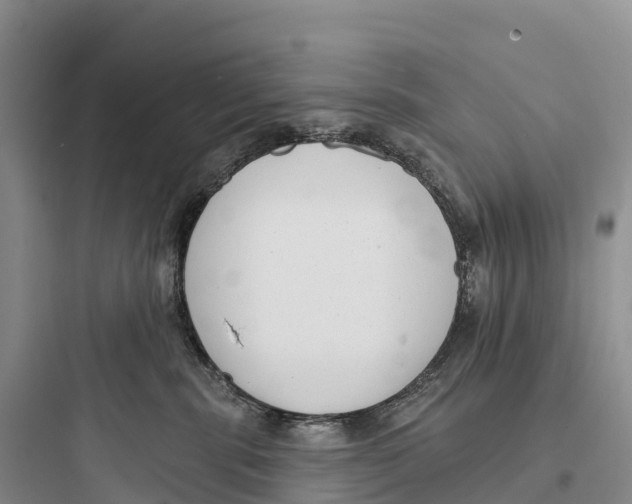 X0000097590283200803211643