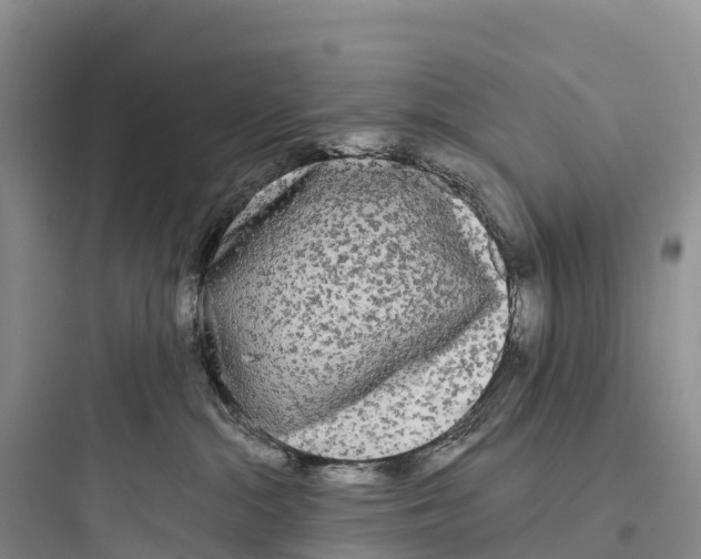 X0000097590284200803211643