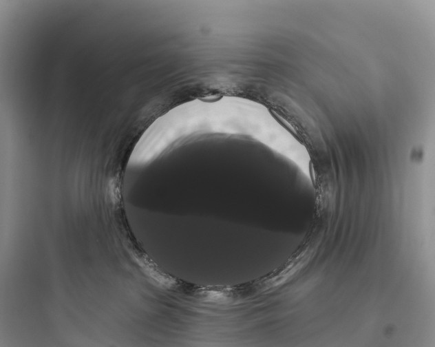 X0000097590285200803211643