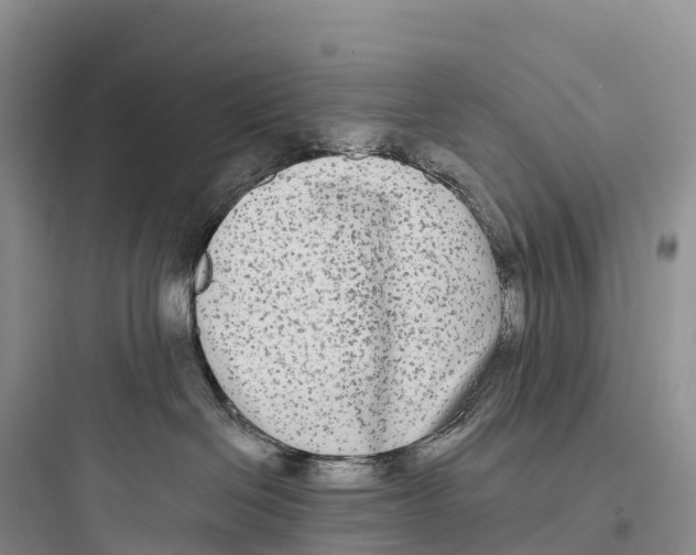 X0000097590286200803211643