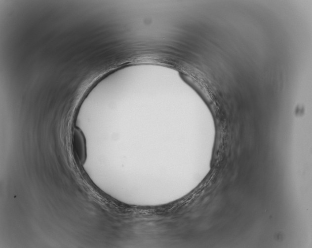 X0000097590289200803211643