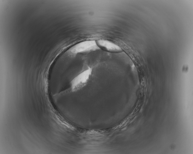 X0000097590290200803211643