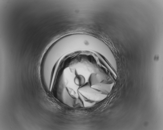 X0000097590292200803211643