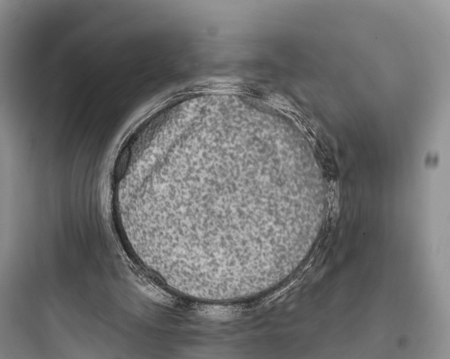 X0000097590293200803211643