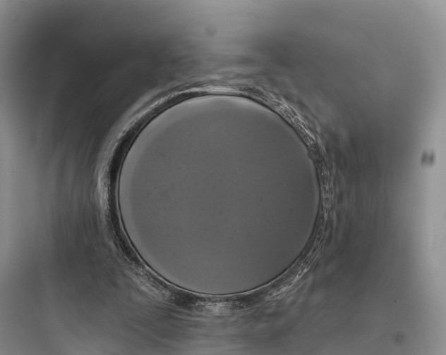 X0000097590295200803211643