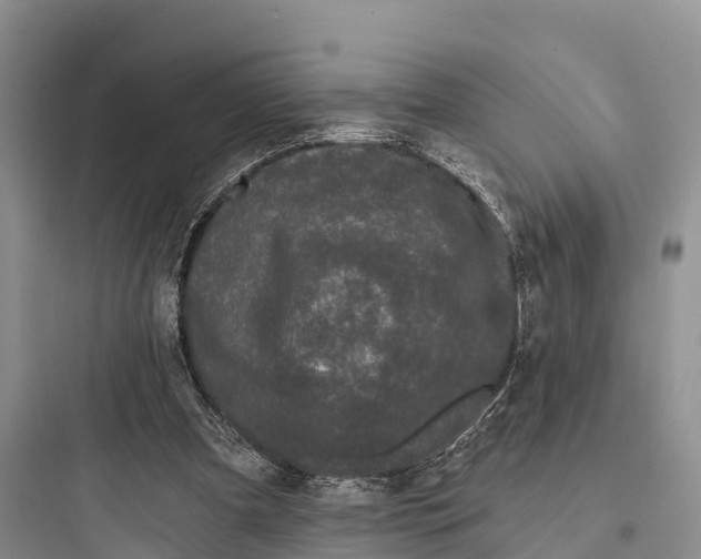 X0000097590297200803211643