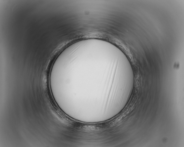 X0000097590298200803211643