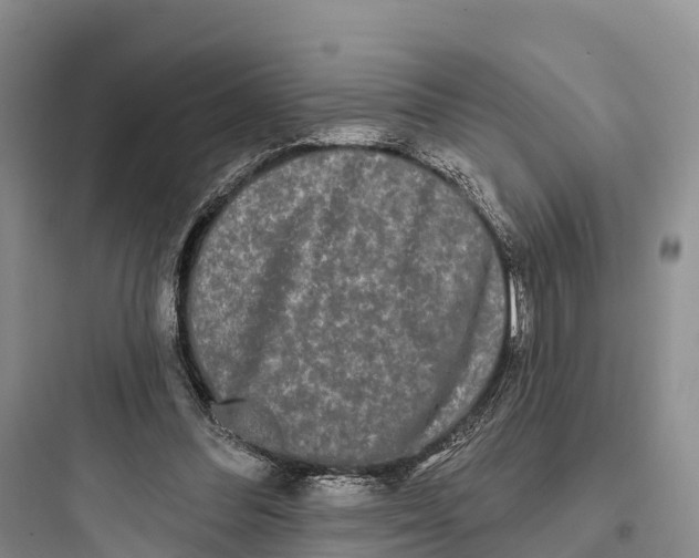 X0000097590300200803211642