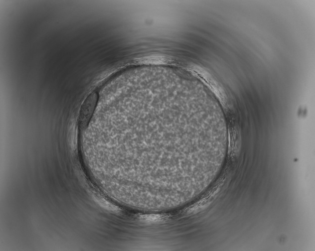 X0000097590301200803211642