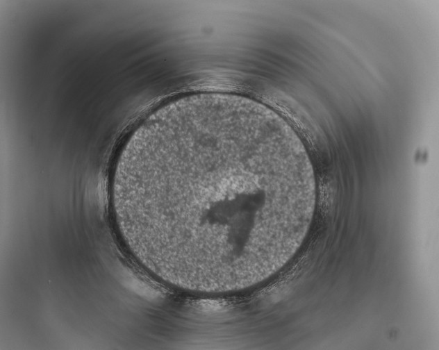 X0000097590302200803211642