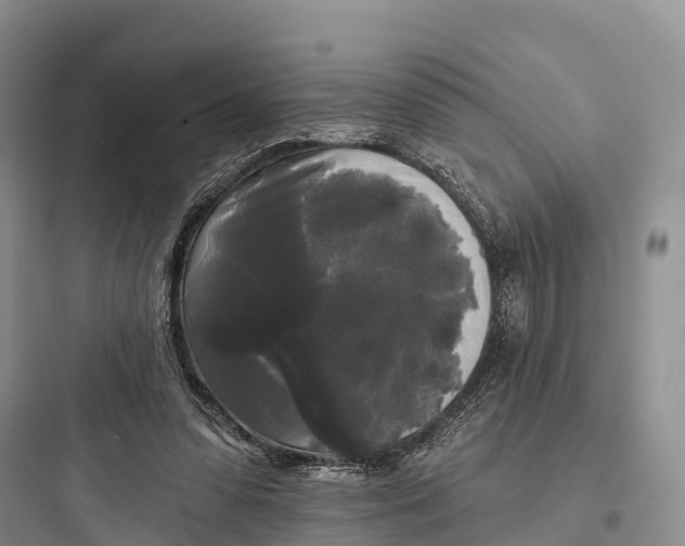 X0000097590303200803211642