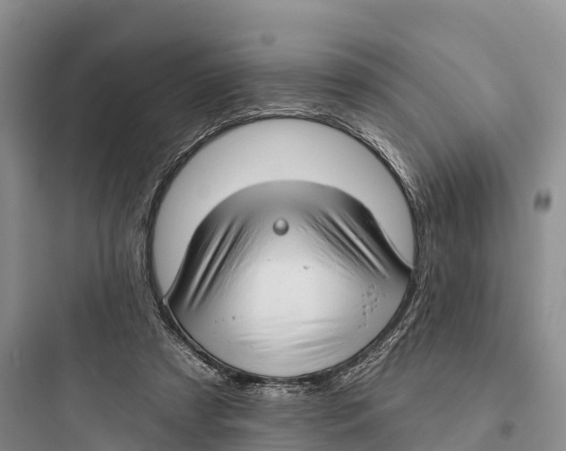 X0000097590305200803211642