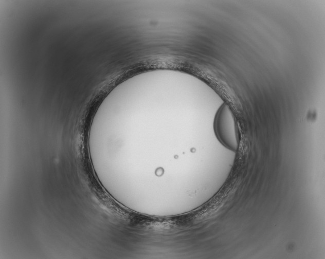 X0000097590306200803211642