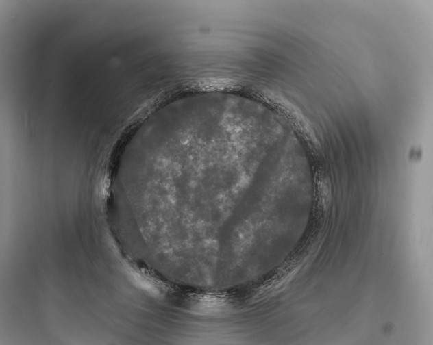 X0000097590308200803211642