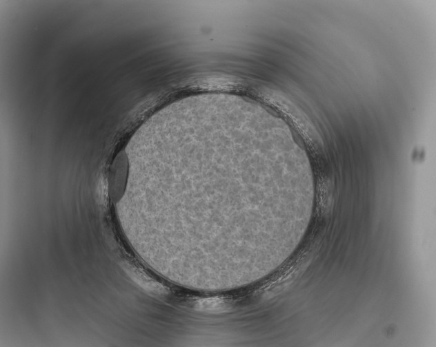 X0000097590309200803211642