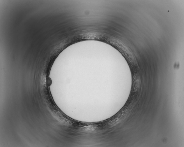 X0000097590310200803211642