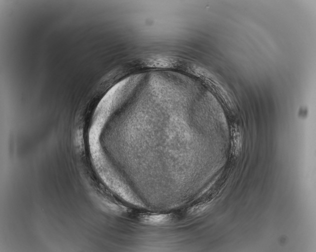 X0000097590312200803211642