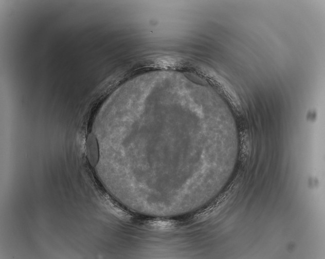 X0000097590313200803211642