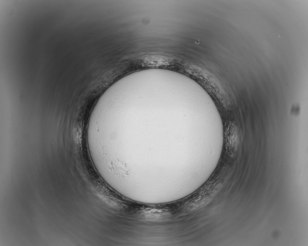 X0000097590315200803211642