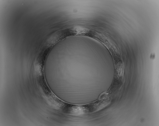 X0000097590316200803211642