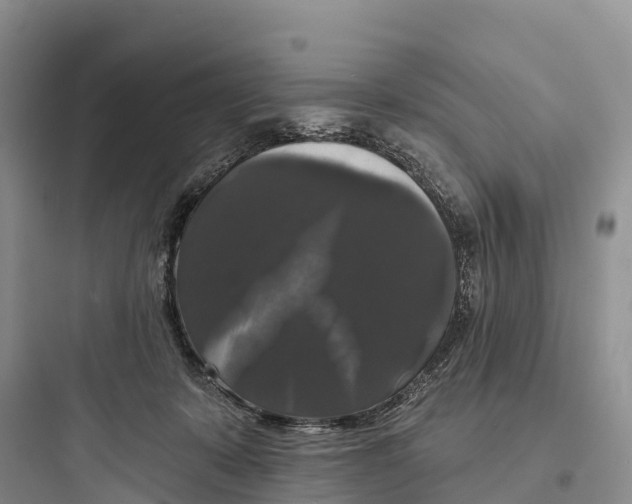 X0000097590319200803211642