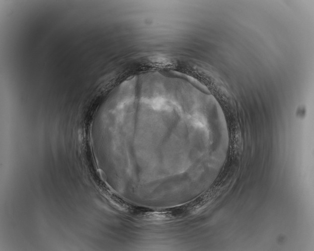 X0000097590320200803211642