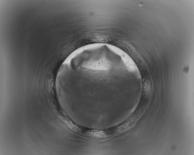 X0000097590322200803211642