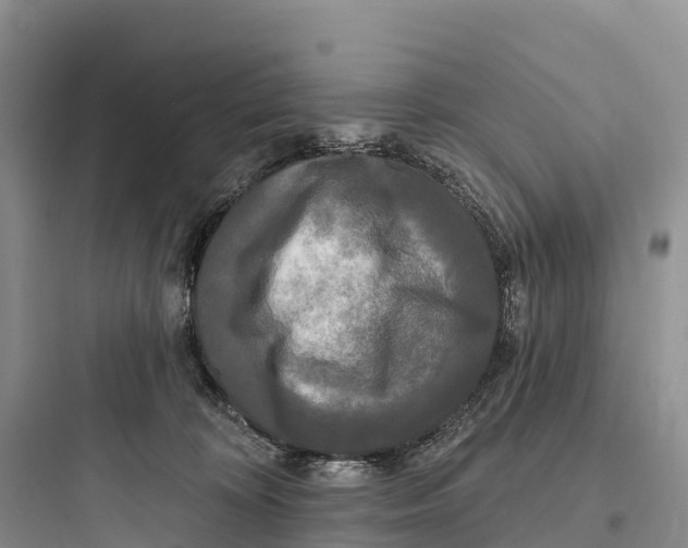 X0000097590324200803211642