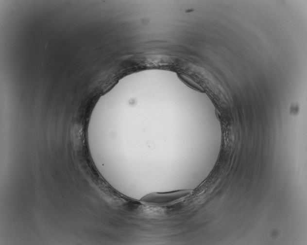 X0000097590327200803211642