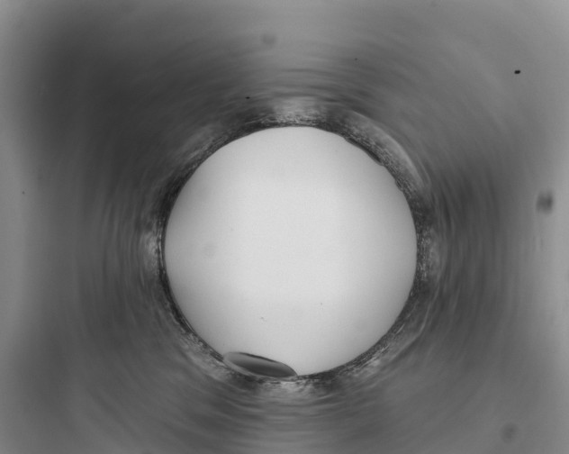 X0000097590329200803211642